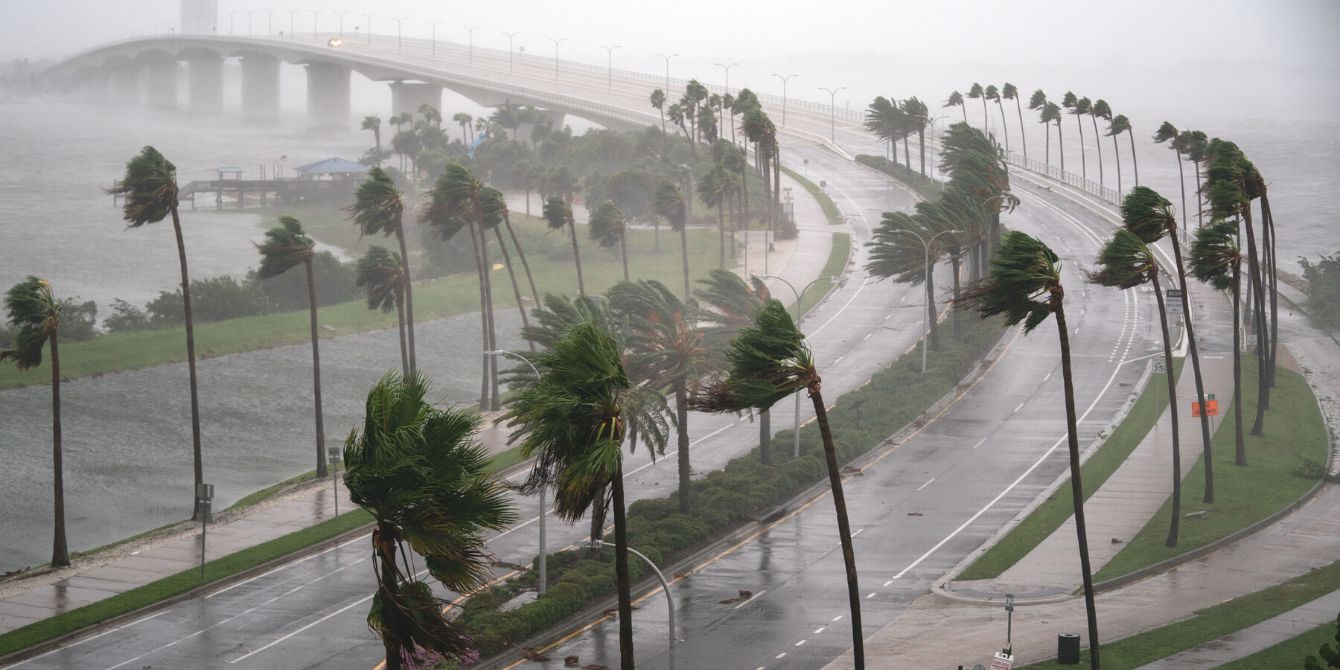 Palm trees bending in rain and wind as Hurricane Ian hitting Florida coast and relationship about stress in pregnancy