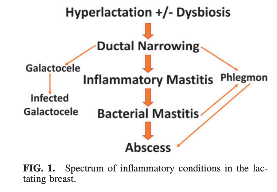 Mastitis Spectrum ABM 2022 Guidelines