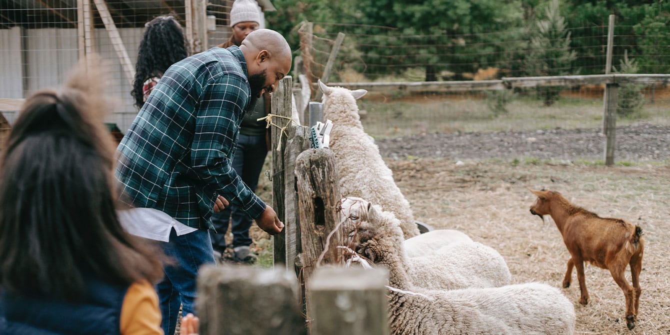 family at a farm, enjoying farm stays