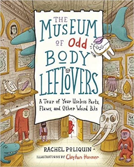 The Museum of Odd Body Leftovers book