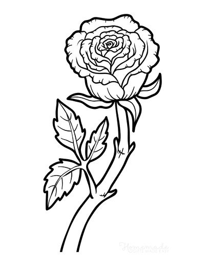 flower coloring pages botanical rose 400x518 1 Motherly