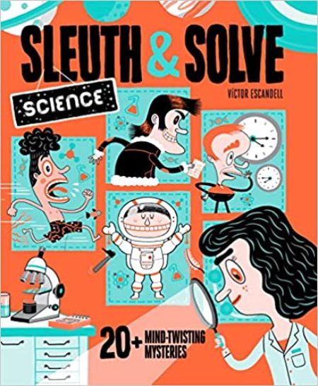 sleuth & solve book