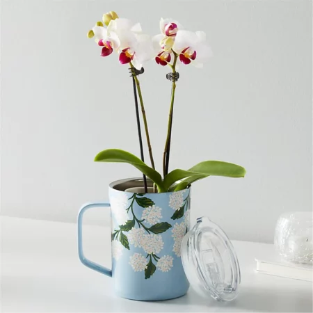 White Orchid in Mug from FTD