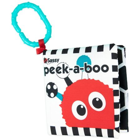 Sassy Peek-a-Boo Activity Book, a great way to foster 2-month-old baby development