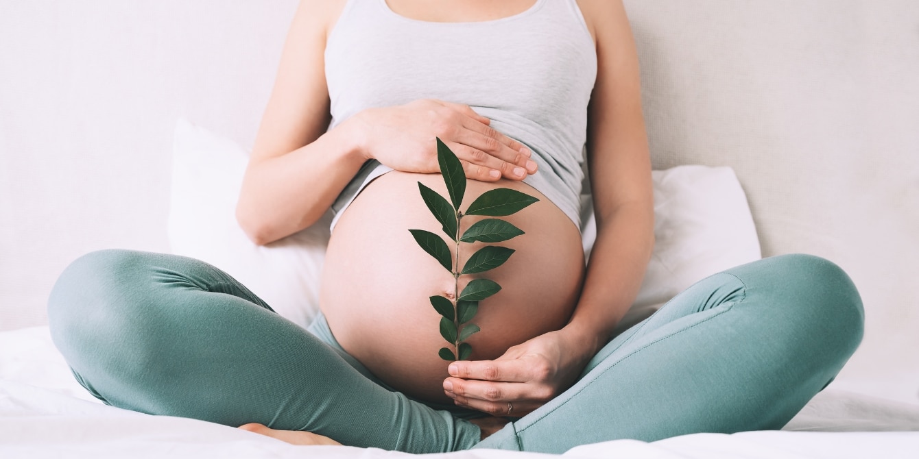 pregnant woman holds green plant near belly - fertility glossary