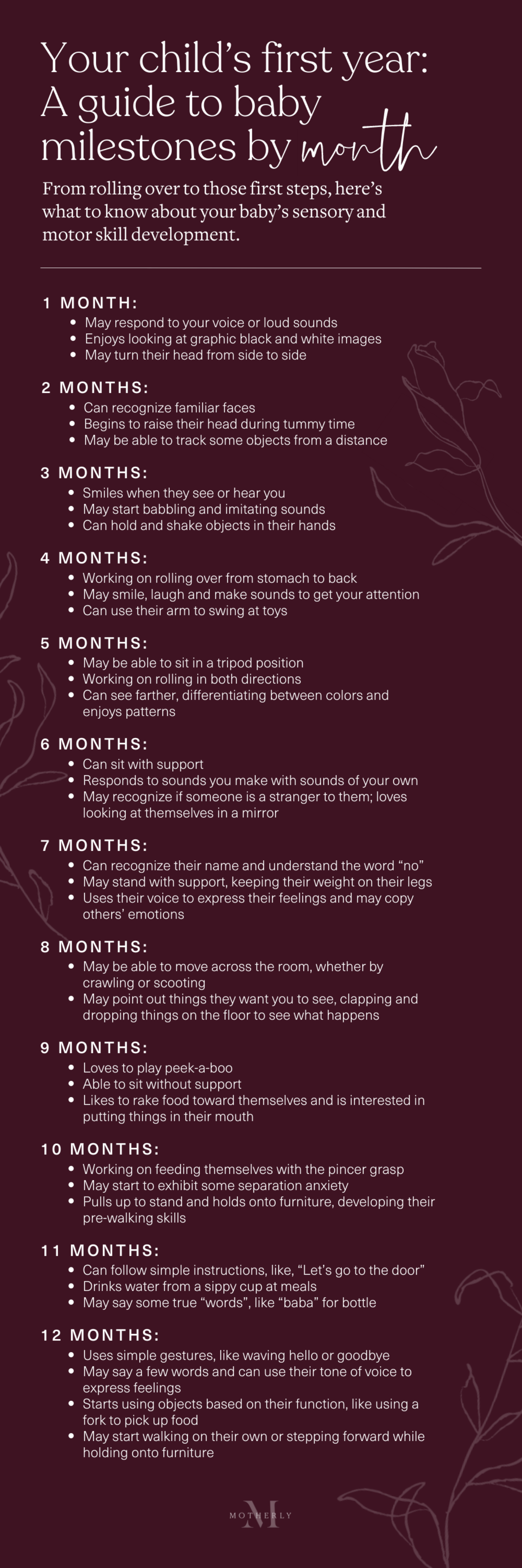 baby milestones by month chart - monthly developmental milestones