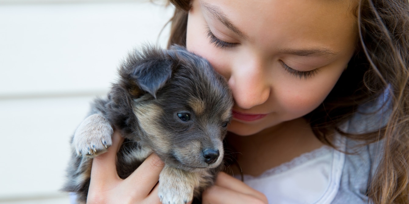 little girl and cute puppy - tips for Raising puppies and kids