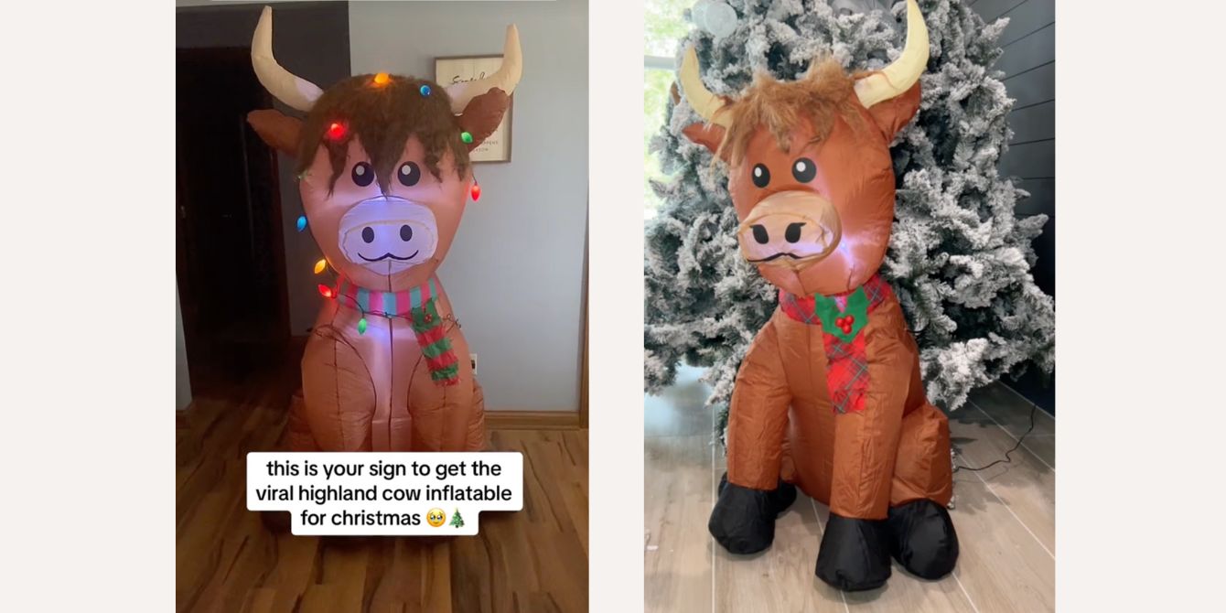 Walmart Highland Cow Inflatable is Going Viral Motherly