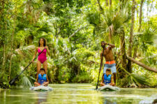 Apopka Kings Landing Family Paddleboard 06 2022 Emergent Motherly