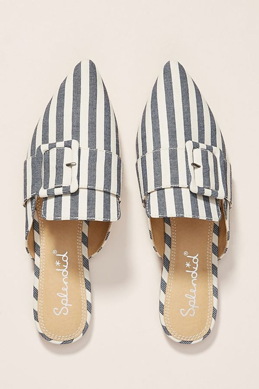 Anthropologie slides