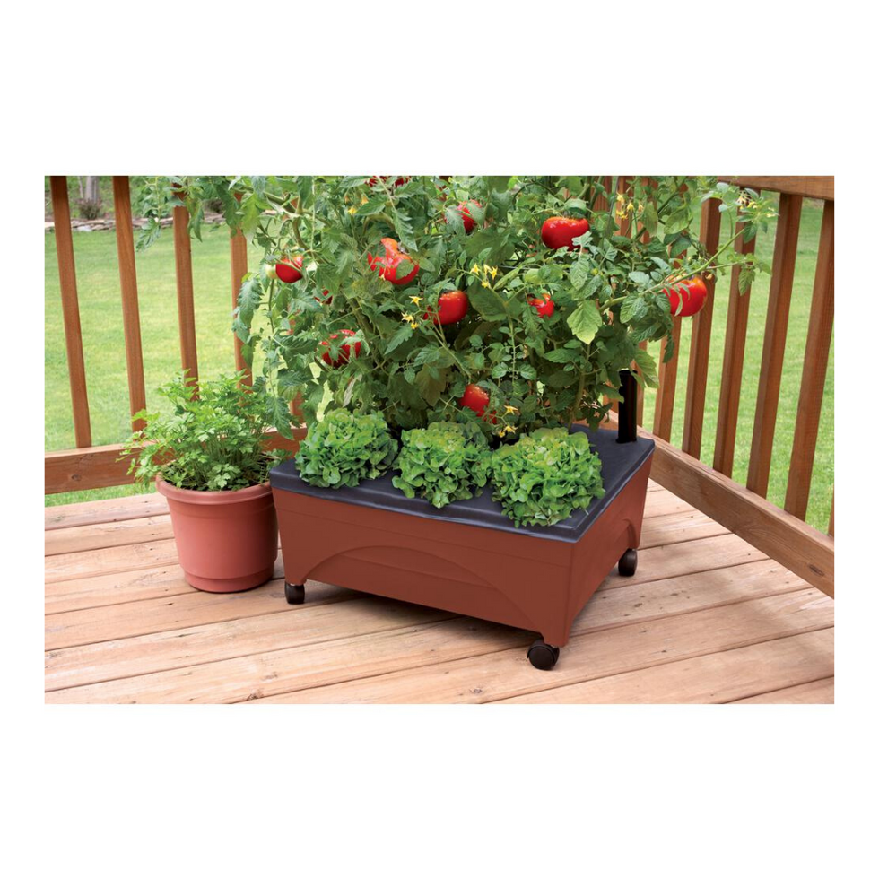 Everything you need to turn your backyard into the ultimate oasis (for you + your kids) raised garden bed