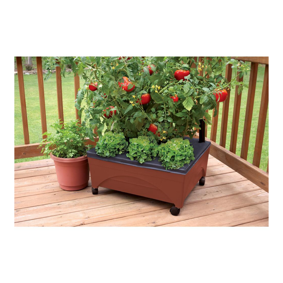 raised garden bed