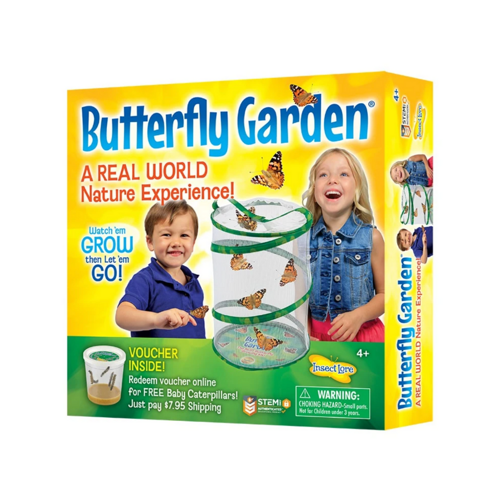 butterfly garden