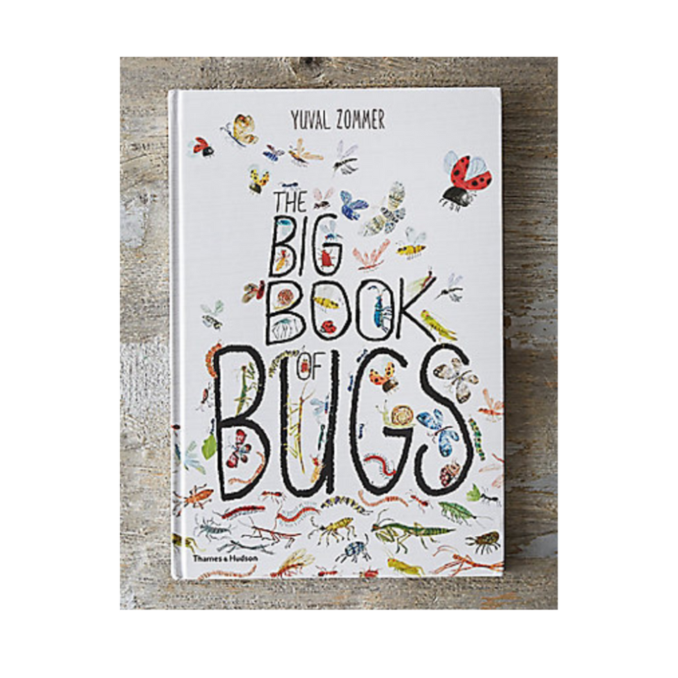 big book of bugs