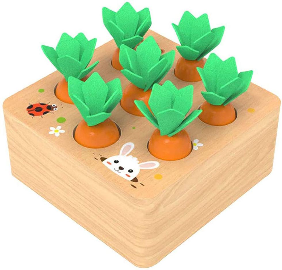 Montessori wooden sorting and counting carrot puzzle