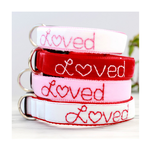 Valentine Dog Collar