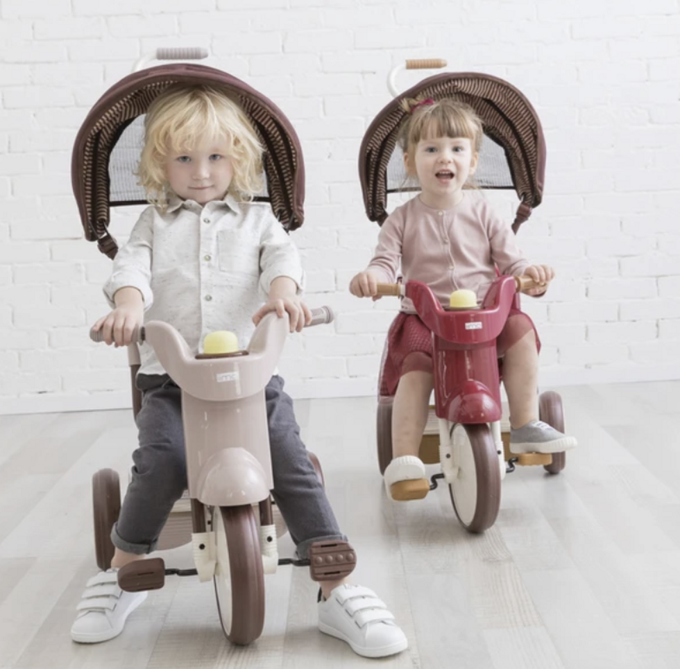 iimo Folding tricycle with canopy