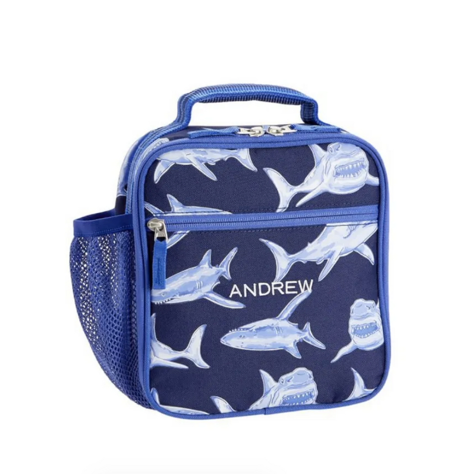 pottery barn kids lunch box