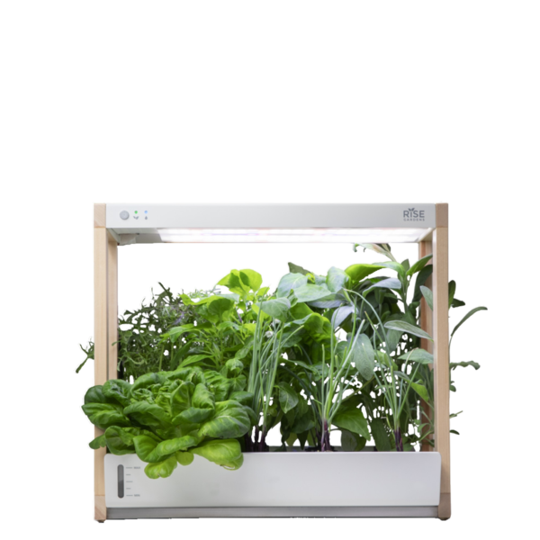 Rise Garden Personal Indoor Garden