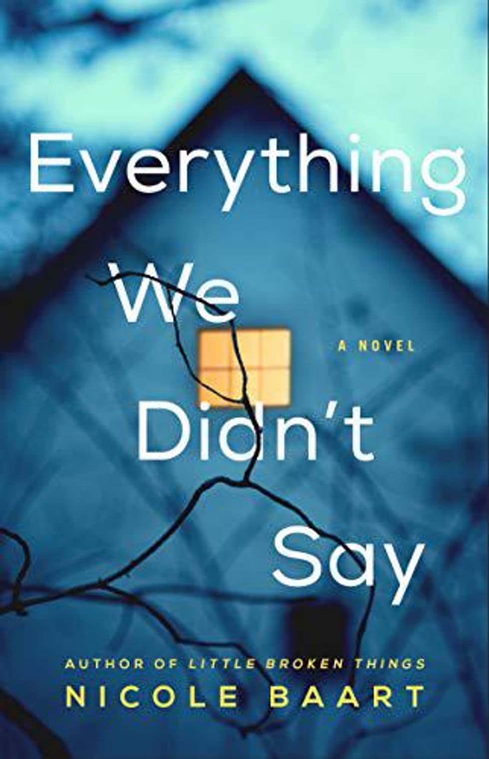 Everything We Didn't Say by Nicole Baart