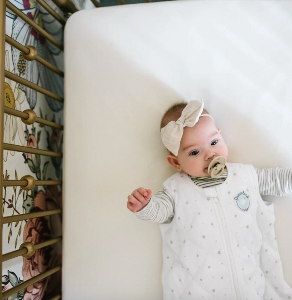 DREAMLAND BABY Dream Weighted Sleep Sack, 6-12 months