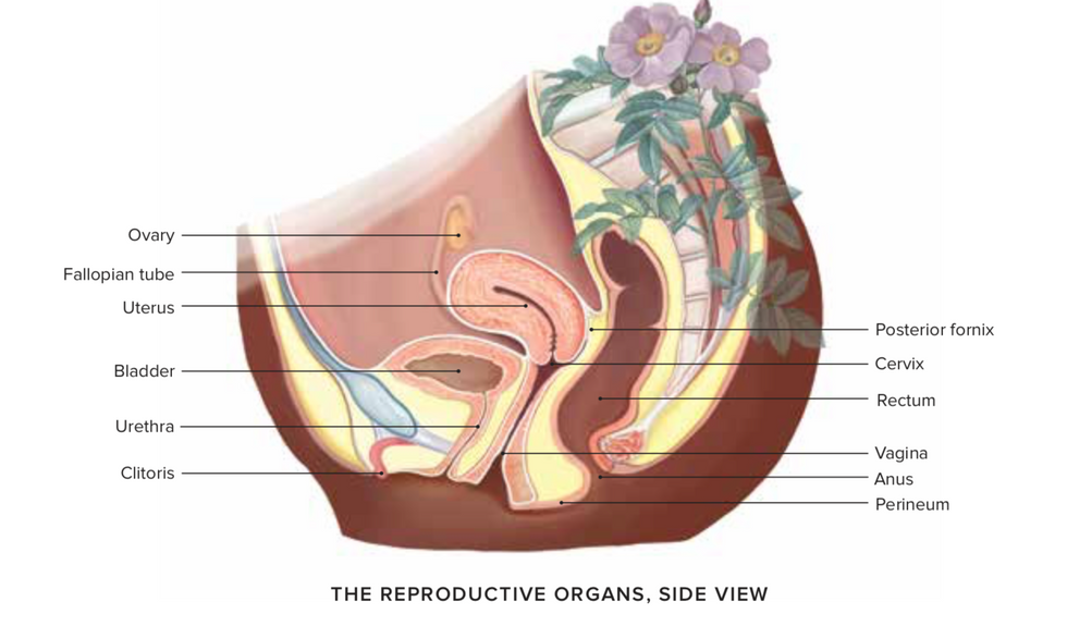 empowering ways to take care of your vagina 0 Motherly