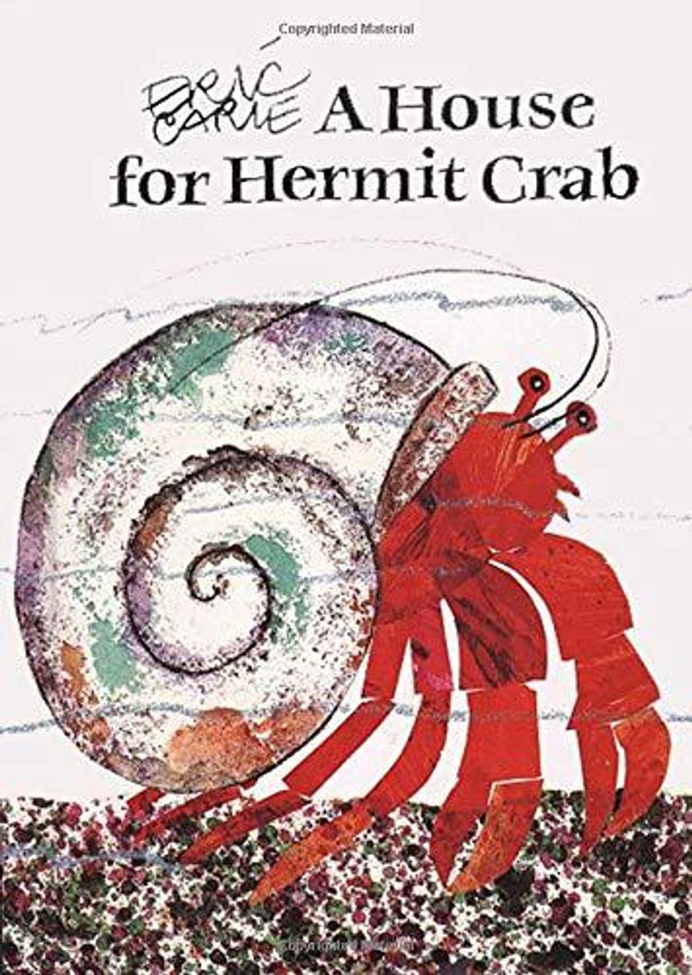 A-House-For-Hermit-Crab