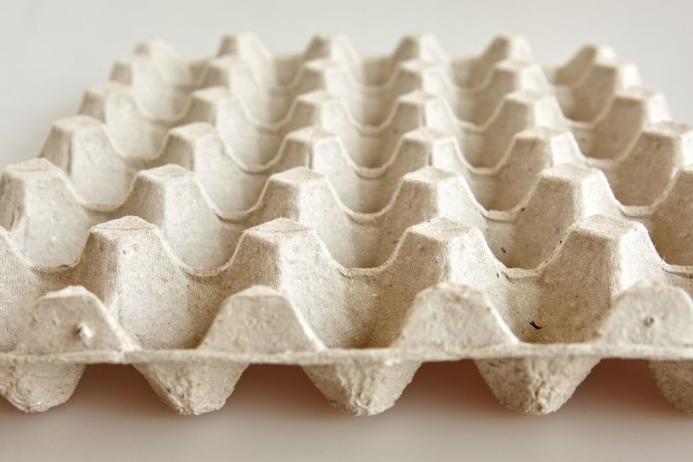 egg cartons