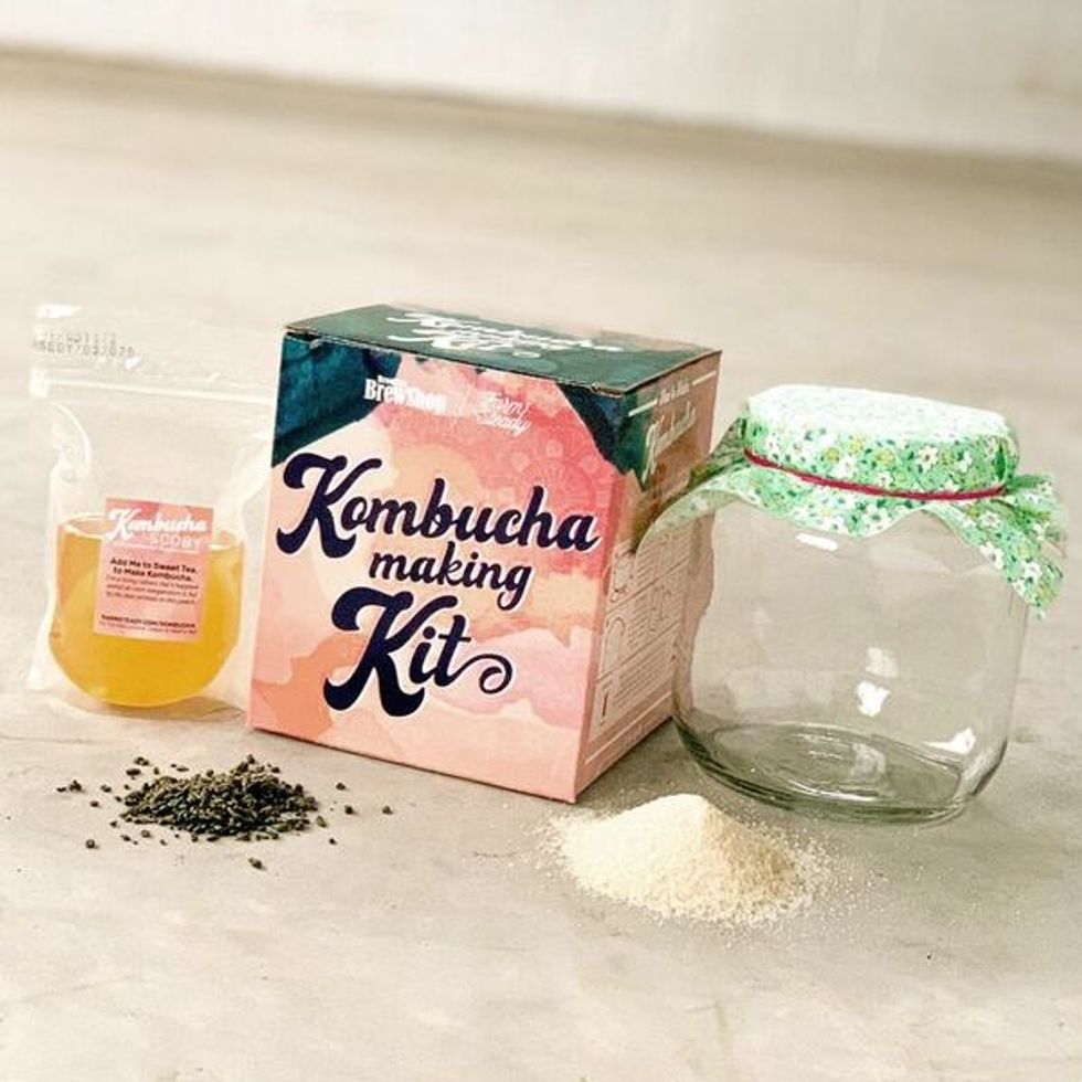 farmsteady kombucha making kit