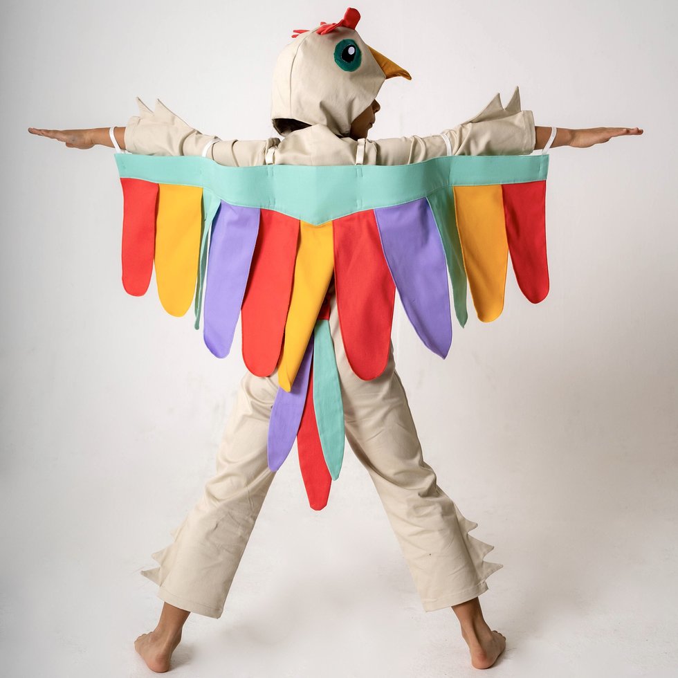 Hijinks bird wings