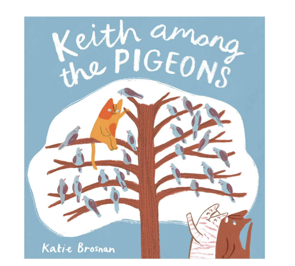 keith among the pigeons kids book