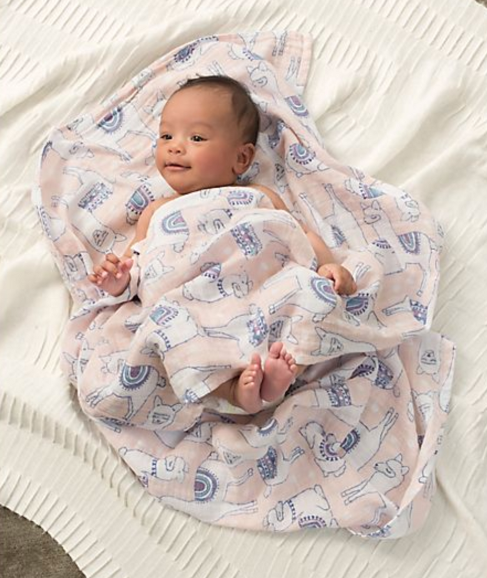 aden + anaisu00ae Trail Blooms 4-Pack Multicolor Swaddle Blankets