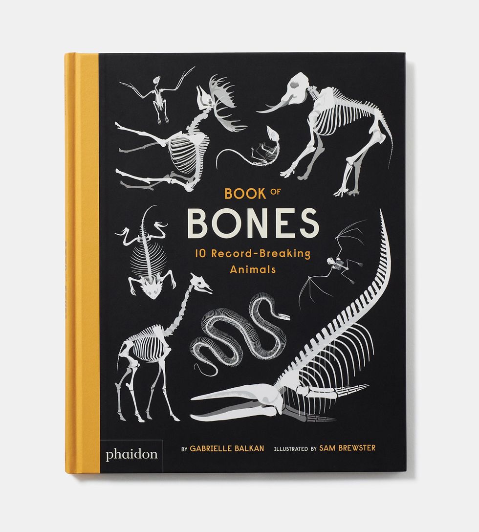 Gabrielle Balkan The book of bones: 10 record-breaking animals