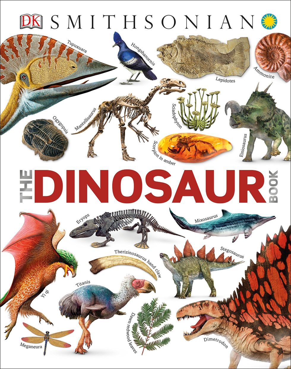 DK dinosaur book