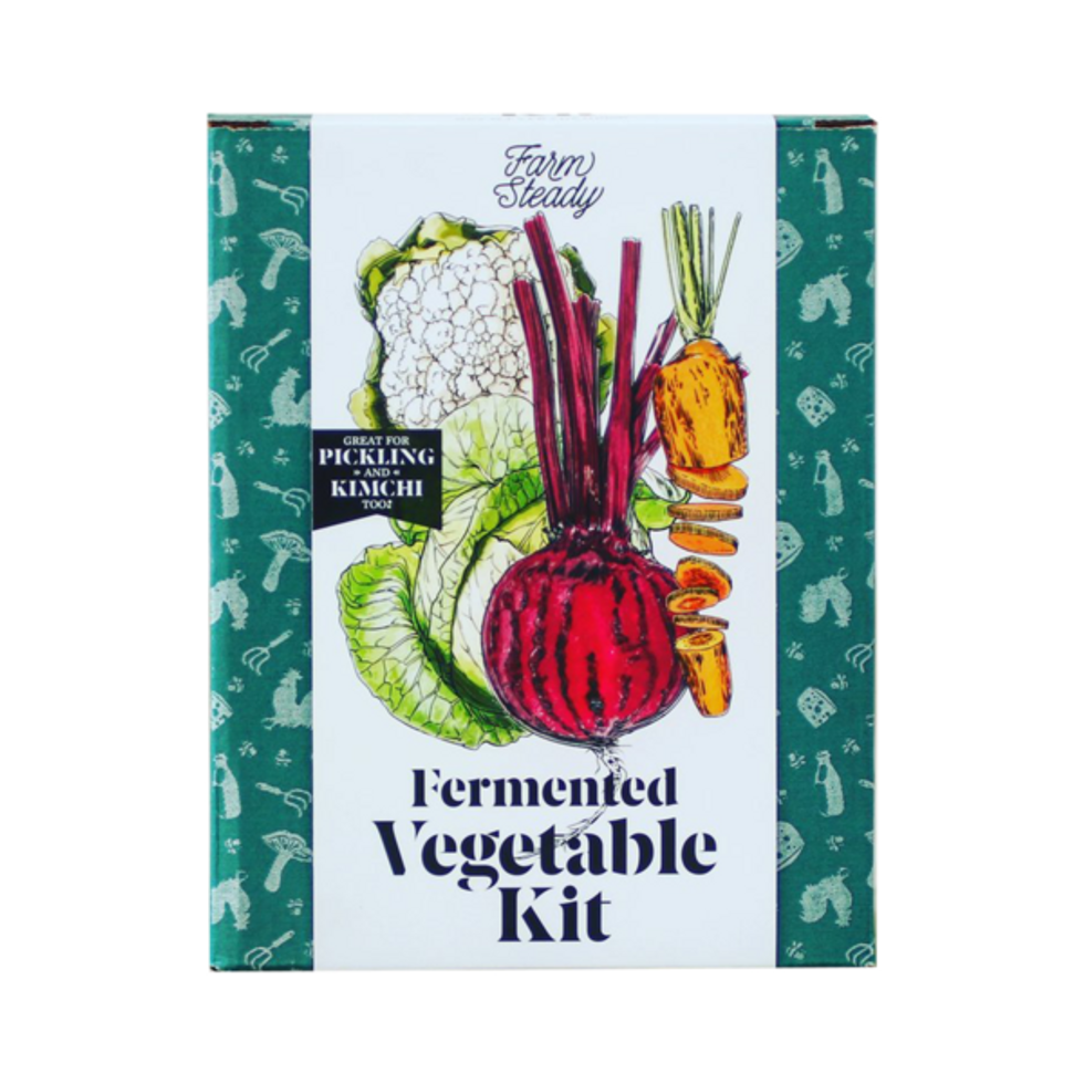 Farm Steady fermented vegetable kit