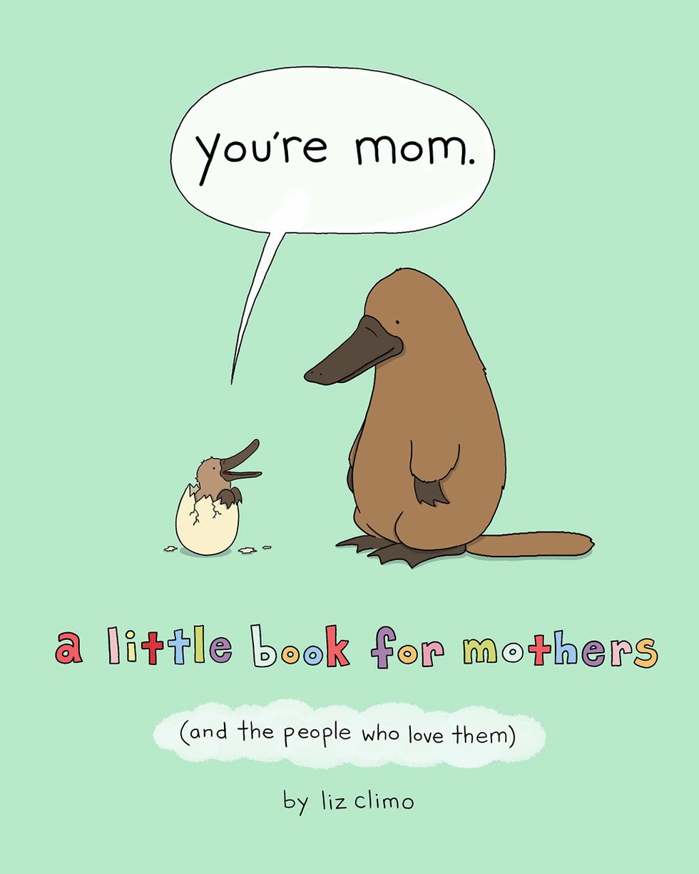 you're mom book