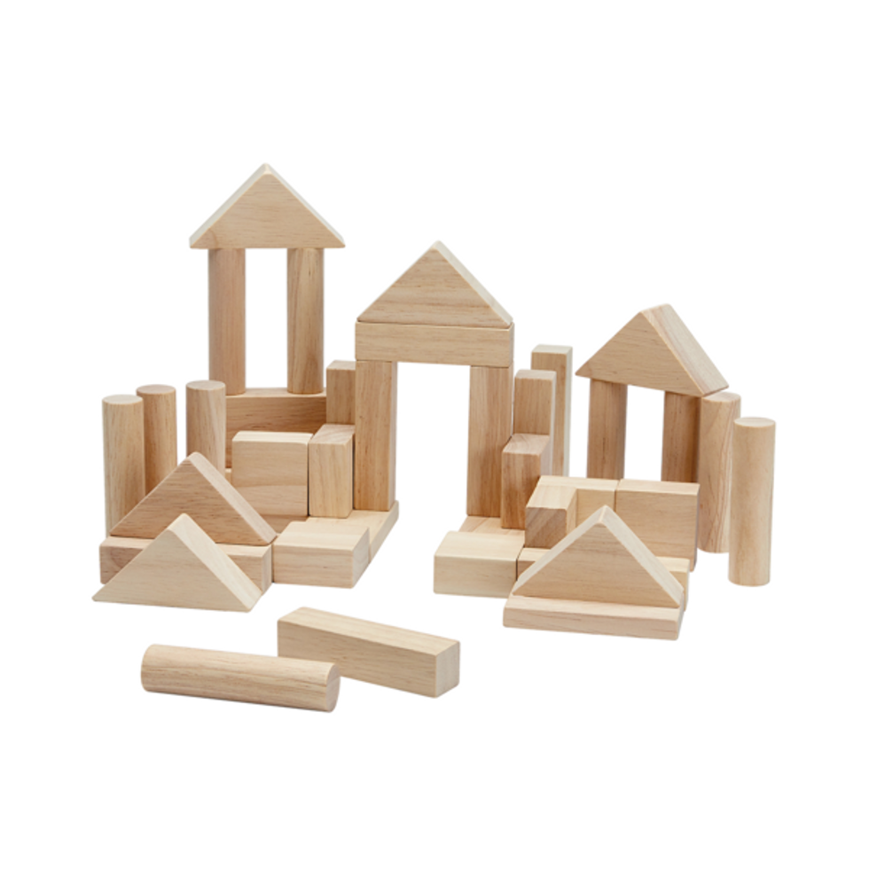 Plan Toys natural wooden blocks set