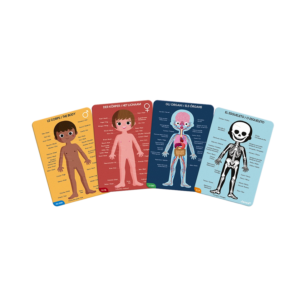 Janod human body puzzle set