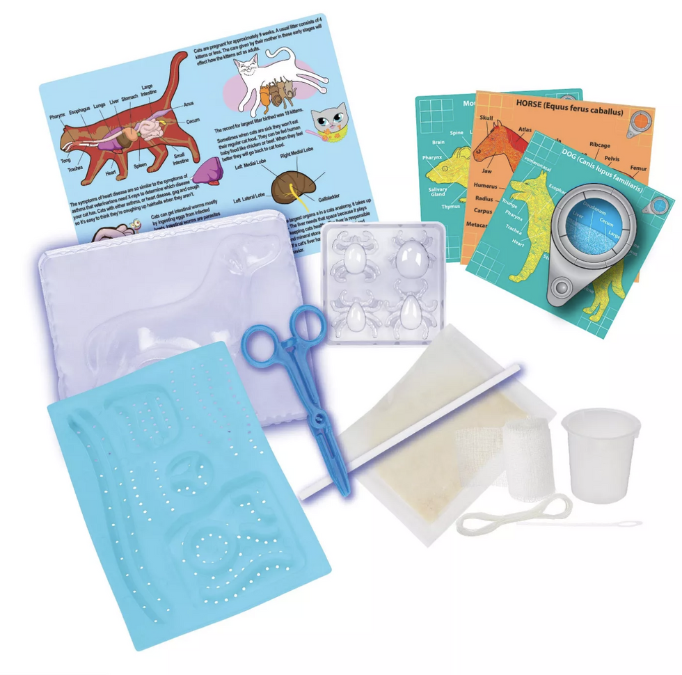 science kit cyber monday