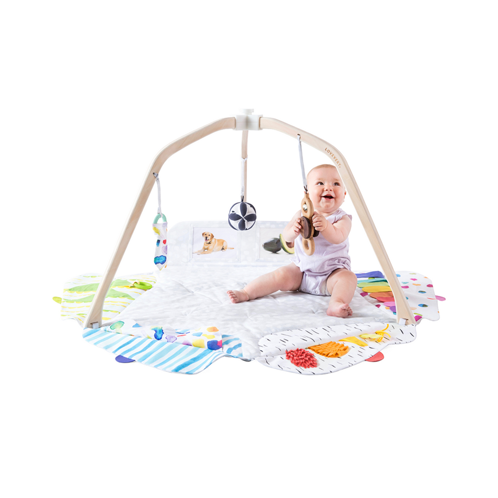 Lovevery the play gym