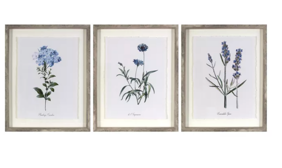 Framed vintage botanicals decorative wall art