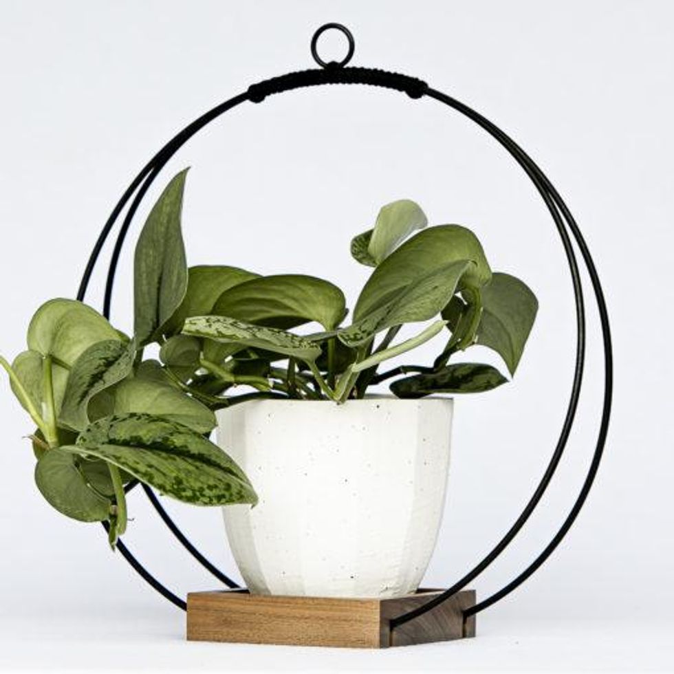 wood-plant-hanger