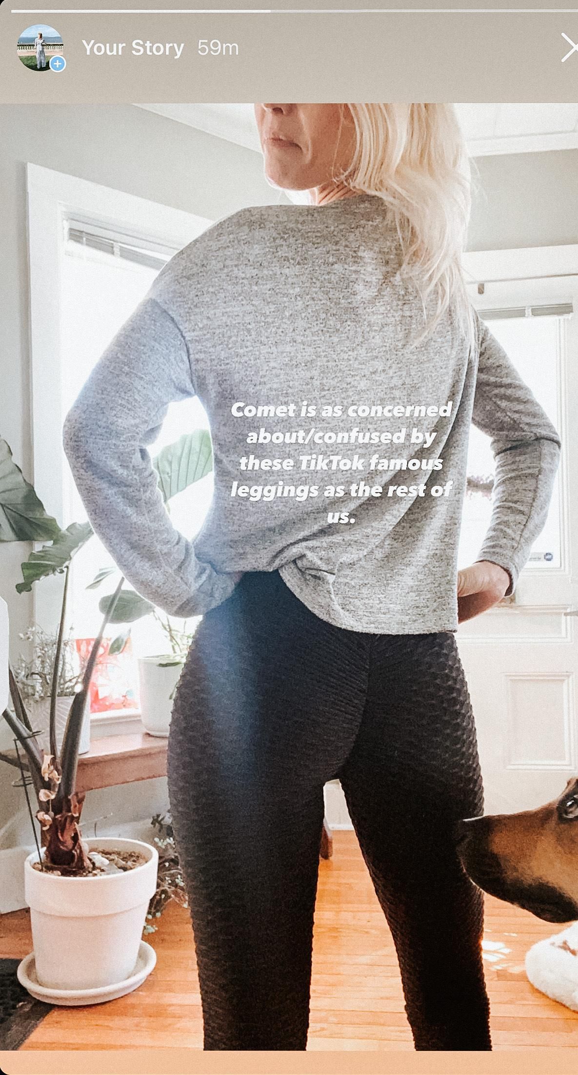 TikTok Seasum Leggings Review - Booty-Lifting Viral Leggings